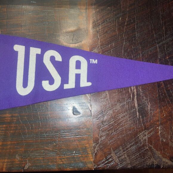 USA XVII 1998 Olympic Winter Games Pennant Nagano New With Tags TEAM USA - Picture 6 of 6